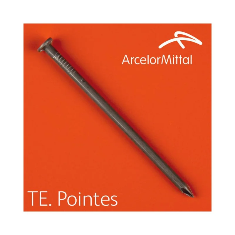 Pointe TPO françaises tête plate Ø5x125mm acier boite 5KgARCELORMITTAL Bon Plan