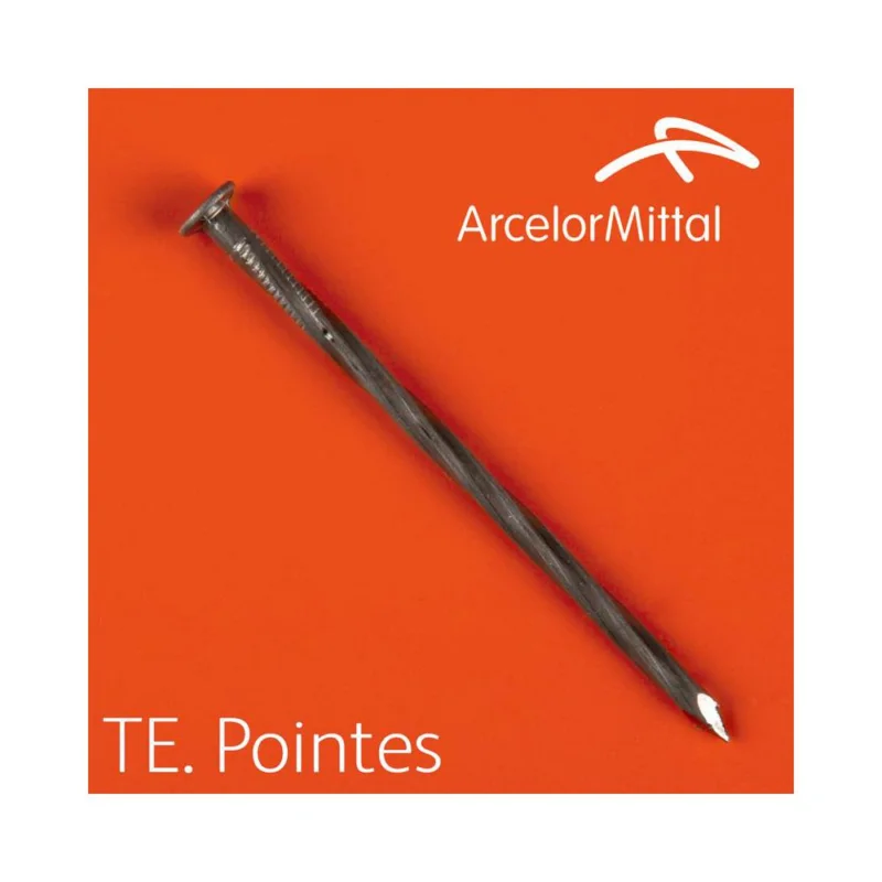 Pointe torsadée Ø3,2x70mm acier boite 5KgARCELORMITTAL Soldes