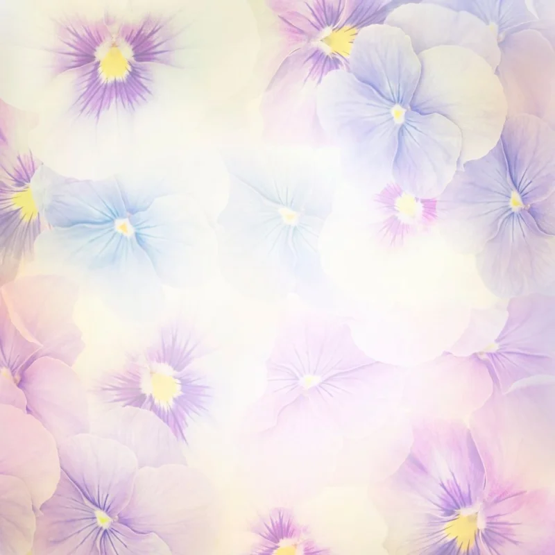 Nouvelle Collection Violet Flowers Background
