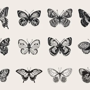 Butterfly Collage Offre Exclusive