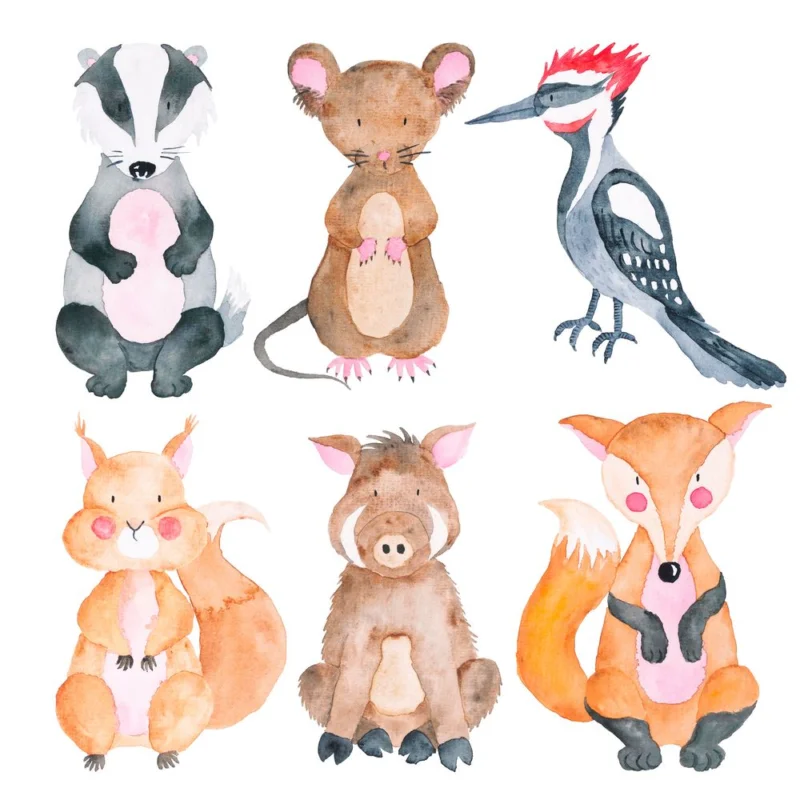 Woodland Animals Set of Watercolor Illustrations Cute Animals Forest Bon Plan