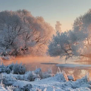 Winter landscape Prix Cassé