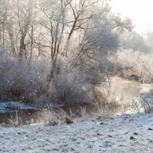 Winter landscape - frosty trees in sunny morning Tranquil winter nature in sunlight Prix Réduit