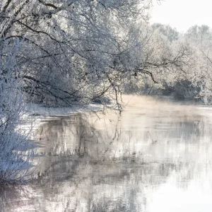 Winter landscape - frosty trees in sunny morning Tranquil winter nature in sunlight Offre Du Jour