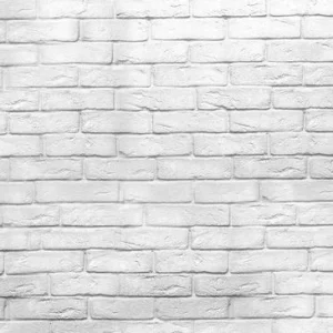 Achat Immédiat Panoramic Brick Wall