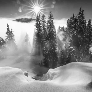 A Winter Tale ! Expédié Aujourd'hui