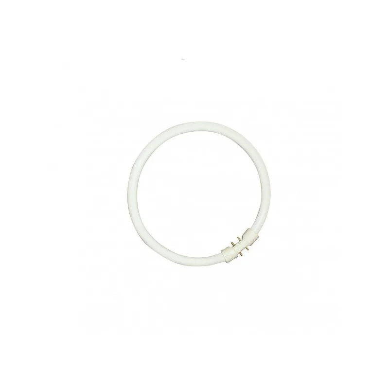 Sylvania 0000521 Ampoule Tube Fluorescent T5 CIRCLINE PLUS 22W/840 Must-Have