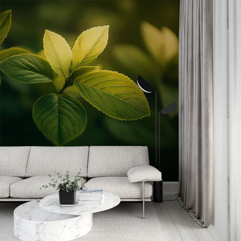 Papier peint feuillage vert Feuilles au soleil couchant Top Vente